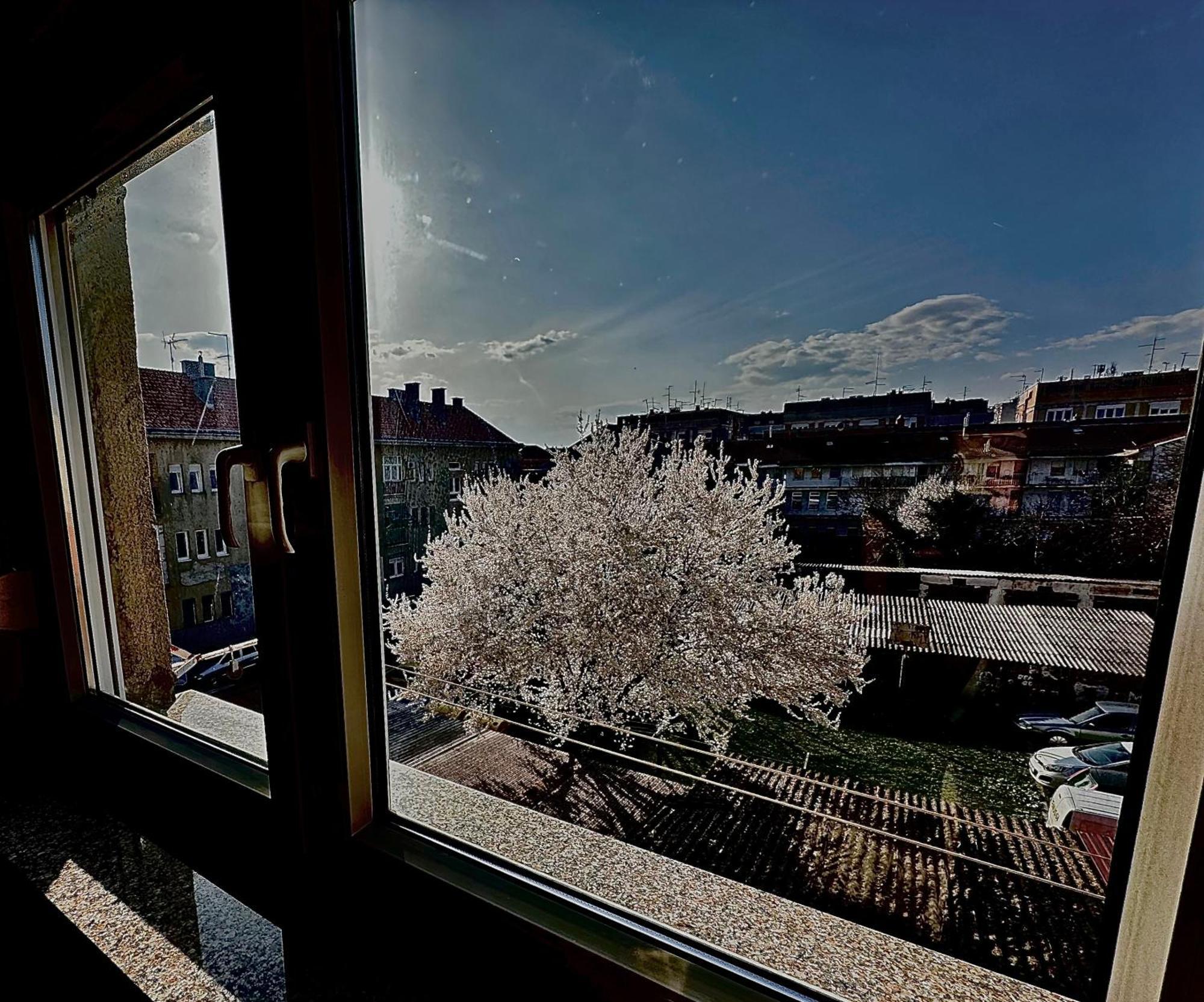 Apartman Pannonica Slavonski Brod Extérieur photo